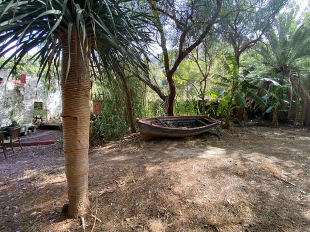 La Casa Del Molino De Viento Villa Agaete  Kültér fotó