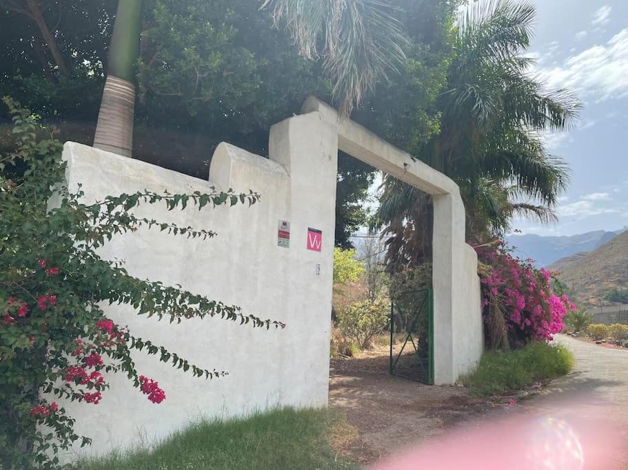 La Casa Del Molino De Viento Villa Agaete  Kültér fotó