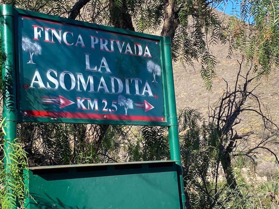 La Casa Del Molino De Viento Villa Agaete  Kültér fotó