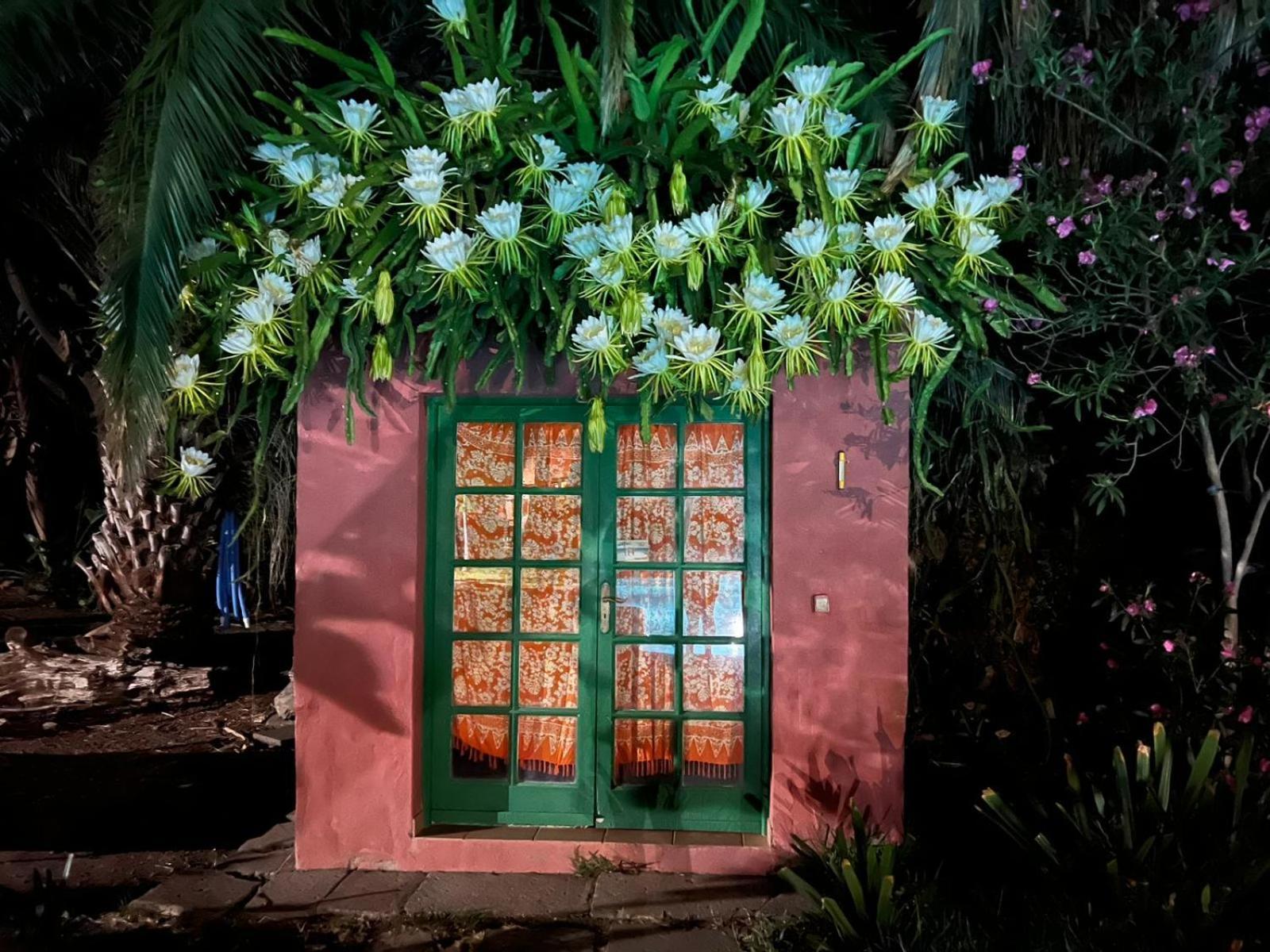 La Casa Del Molino De Viento Villa Agaete  Kültér fotó