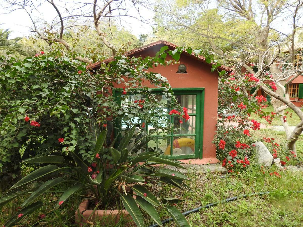 La Casa Del Molino De Viento Villa Agaete  Kültér fotó